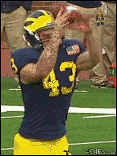 Mortified-punter-drops-football.gif