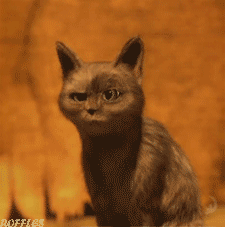 tumblr_m9nolw8ueH1qbygev.gif