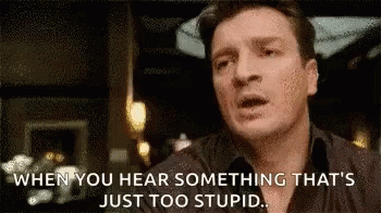 nathan-fillion-are-you-stupid.gif