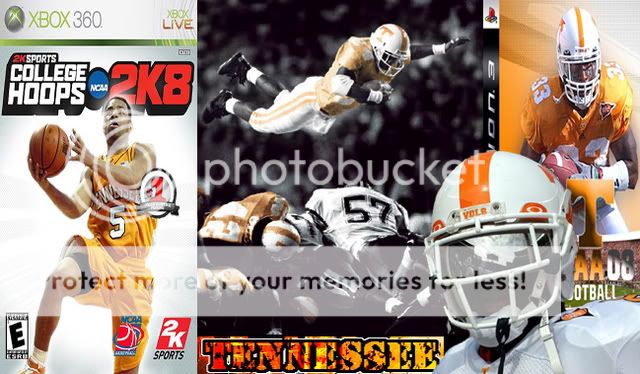 VOLS2008.jpg