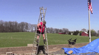 giphy.gif