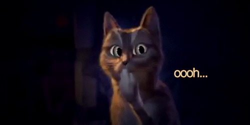 tumblr_m11qhdF8Un1r972f4o1_r1_500.gif