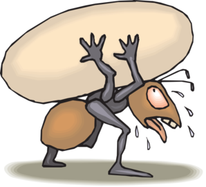 13177559771266693298Ant%20Carrying%20Egg.svg.med.png