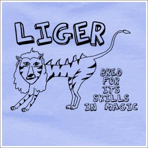 napoleon%27s%2520liger.jpg