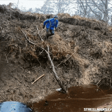giphy-downsized-large.gif