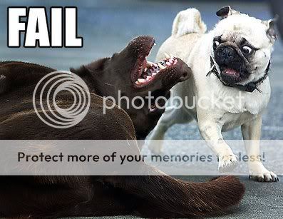 FAIL.jpg