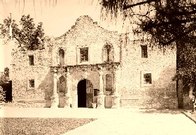 Alamo-280.jpg