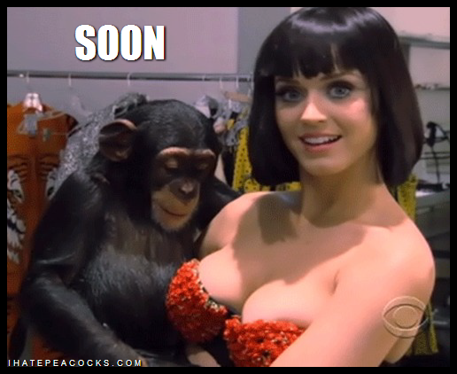 KATY-PERRY-MONKEY-BOOBS-SOON-MEME.png