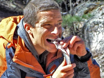 beargrylls4.jpg