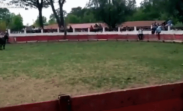 bad_moments_caught_on_gifs_12.gif