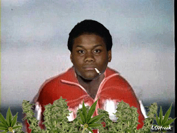 2467174987_c969c81b6d_o.gif