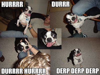derpderpderp.jpg