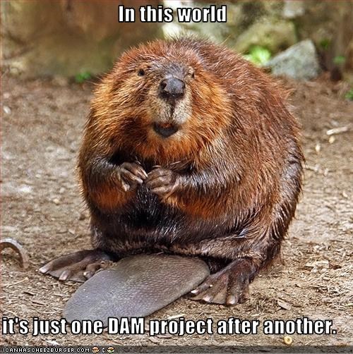 in-this-world-its-just-one-dam-project-after-another
