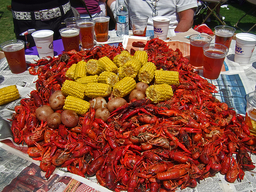 crawfish4.jpg
