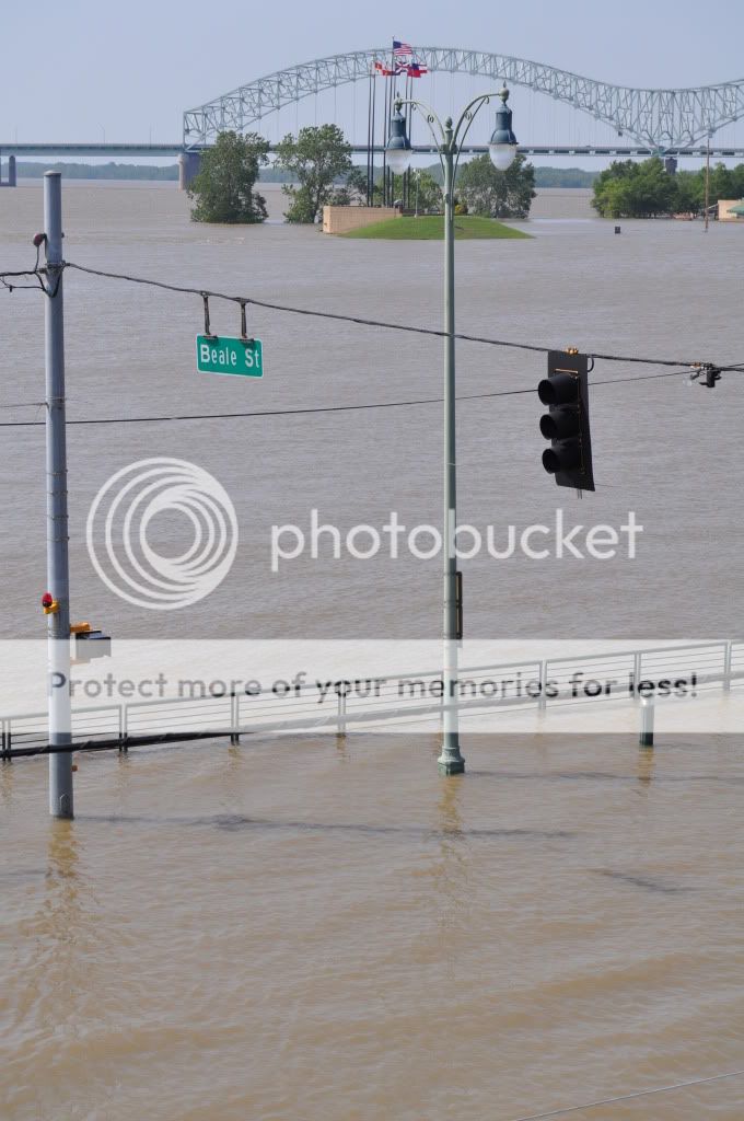 Memphis2011Flood59.jpg