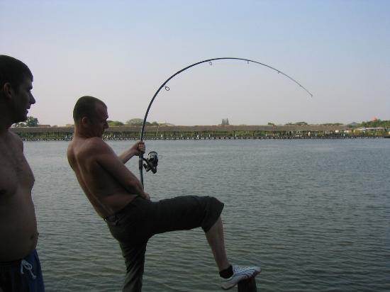 5lb-test-curve-and-still.jpg