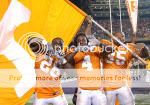 vols-tigerot-1.jpg