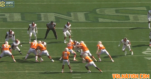 kamara1.gif