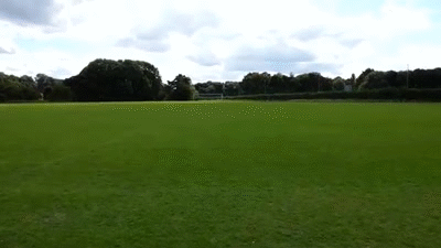 lyJ2Xf.gif