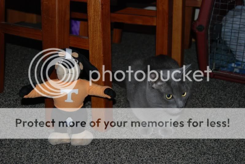 DSC_0449.jpg