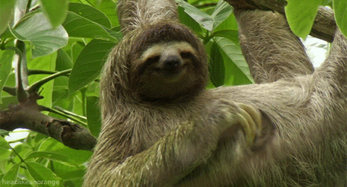 tumblr_mcs8alQxWx1rw8yv7.gif