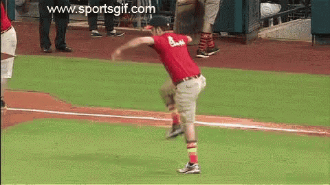 baseball-mlb.gif
