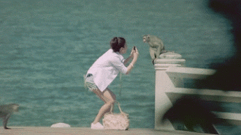 giphy.gif