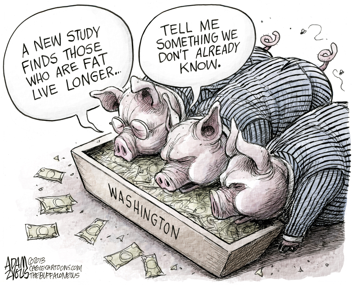pigs.jpg