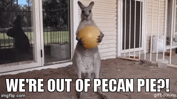 1zvp4c.gif