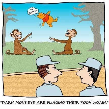 Monkeys-Flinging-Poo.jpg