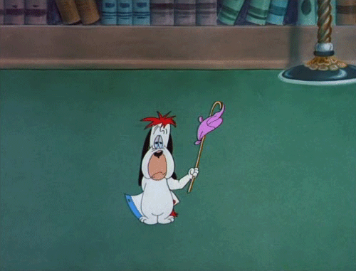 tumblr_nrucc8l4ae1uzpw9ho1_500.gif
