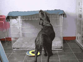 200.gif