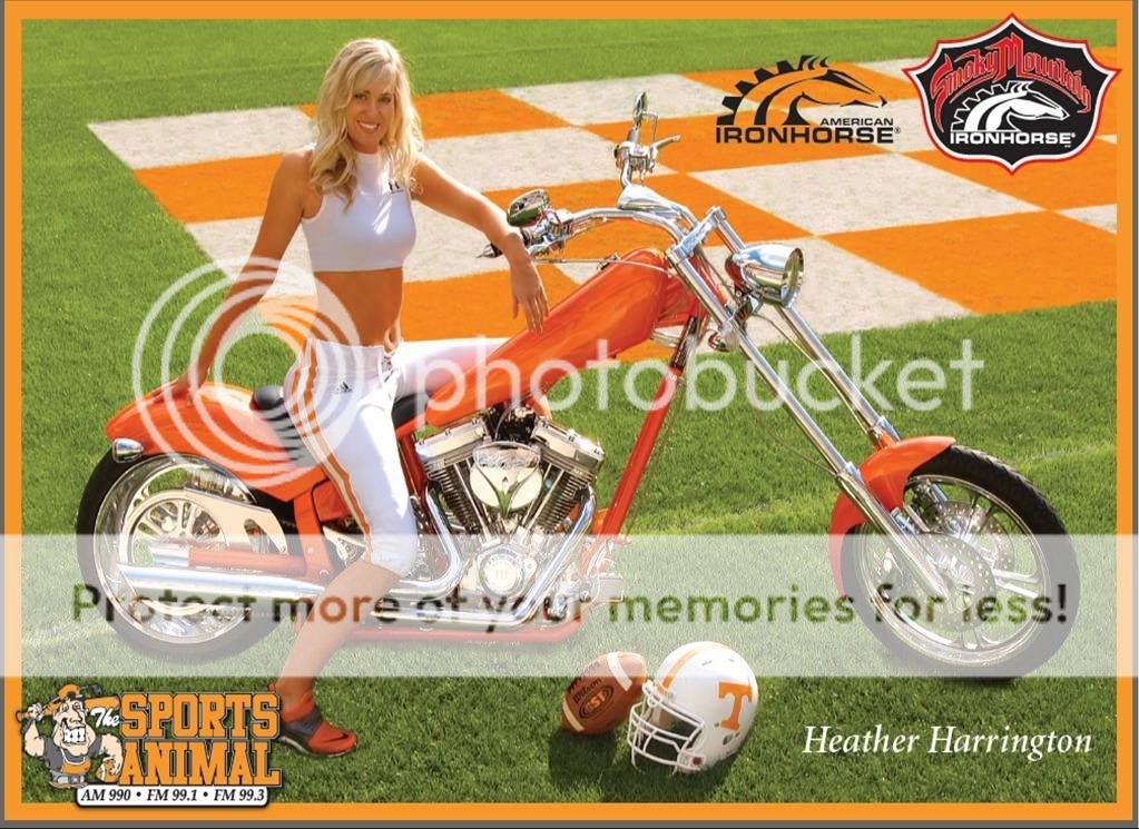 heather1.jpg