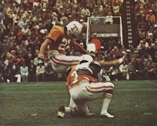 02beb4a0f25e92fb199637993e250a7d--townsend-tennessee-tree-toppers.jpg