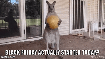 1zvpdw.gif