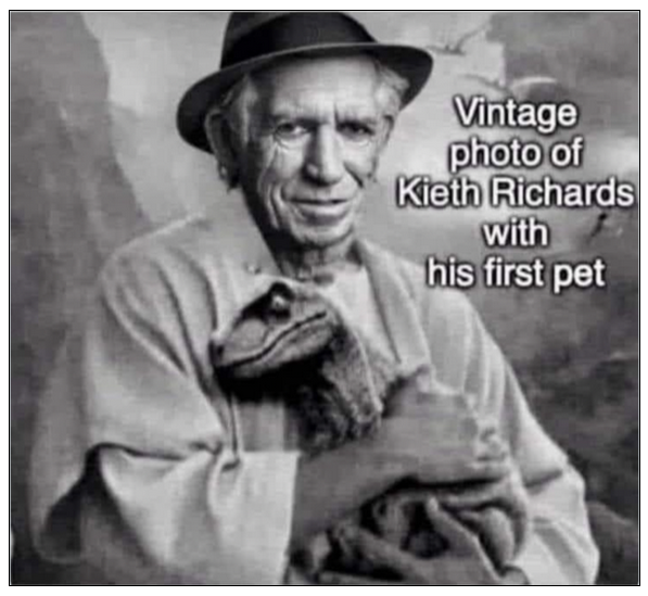 kiethrichardspet-png.98093