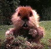 gopher.jpg