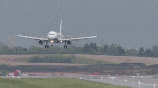 giphy.gif