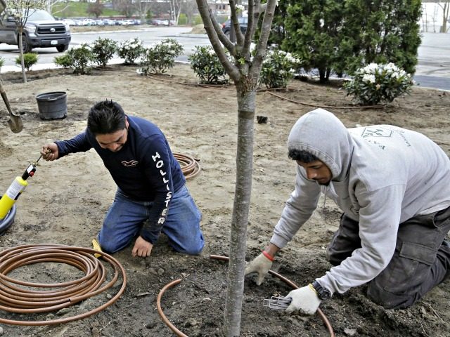 H2-B-Visa-Landscape-Workers-640x480.jpg