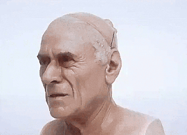 3a5.gif
