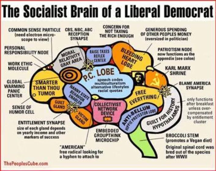 liberal_brain-1.jpg