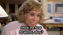 giphy.gif