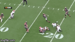 sdgwh.gif