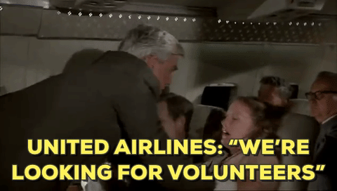 giphy-downsized-large.gif