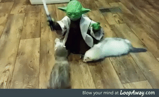 967f19f4a48ff836e5cc3f922ce8bb66.gif