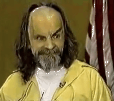 tumblr_lm2s2blAad1qfqcmfo1_400.gif