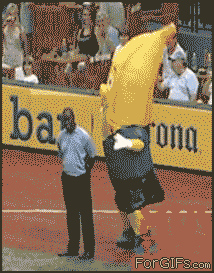 NLMsv.gif