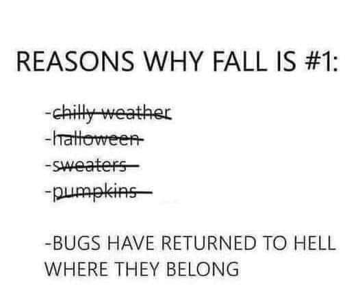 bbcbd460f588983b-jpeg.94733