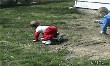 1hwXS.gif