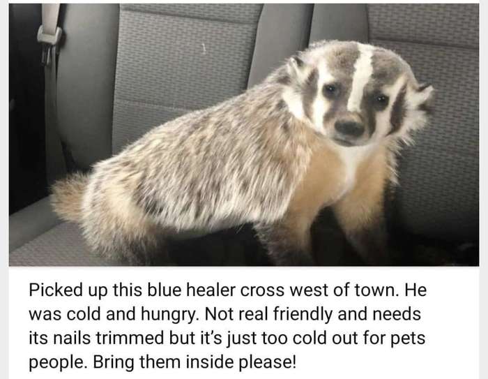 07b6bb0d568a34ce-jpeg.97600